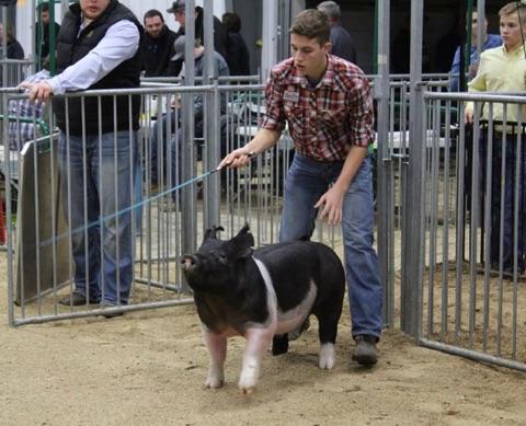 Dunn attends 4-H Capital Days in Harrisburg