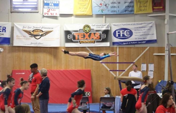 Saegertown gymnast qualifies for states