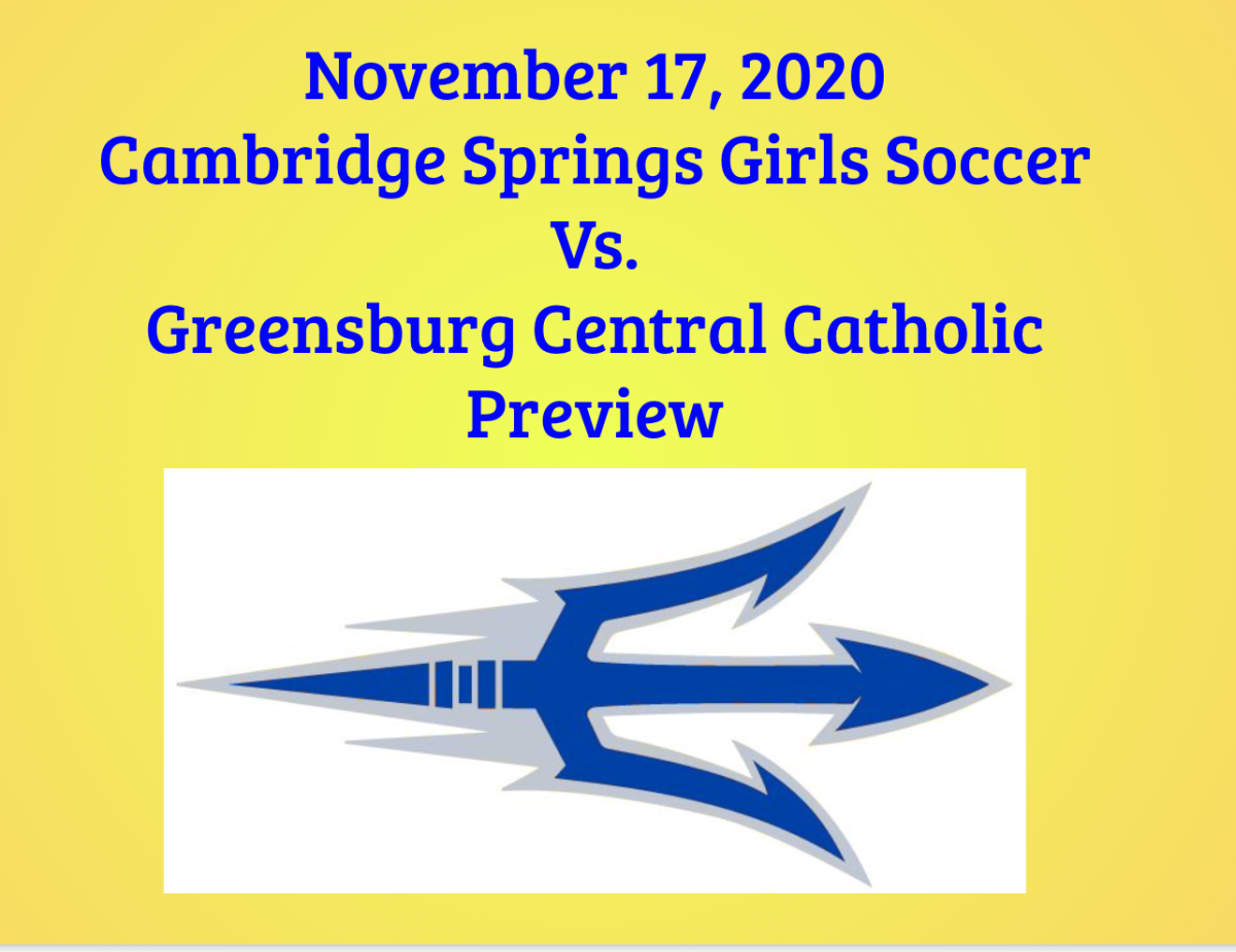 Cambridge Springs girls soccer team heads to state semi-final match