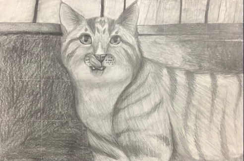 Artist of the Week: Alivia Sivik